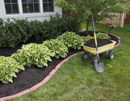 Strata landscaping in Burnaby-BC